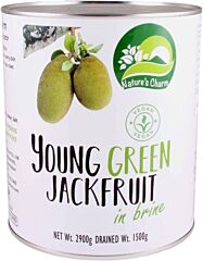 Nature's Charm Jackfruit Young Green
