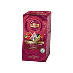 Lipton Exclusive Selection Tea Bosvruchten