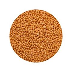 Nic Zoute Caramel Parels