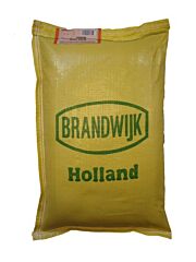 Brandwijk Alkmaarse Gort