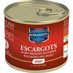 Romanzini Slakken Groot  12 Stuks
