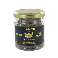 Plantin Morilles Gedroogd Zonder Steel