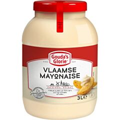 Gouda's Glorie Vlaamse Mayonaise