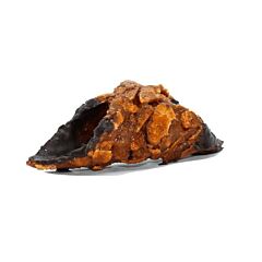 Diforti Cannoli Croccante Leeg Ca. 50 Stuks