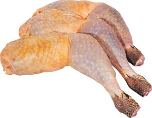  Parelhoen Bout Zonder Rug 5 X Ca 200 Gr Dv