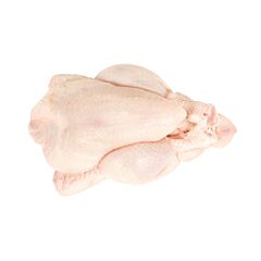  Poussin Ca 425 Gr