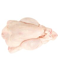  Poussin Ca 425 Gr