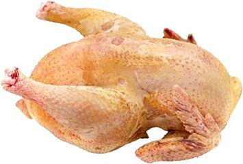  Poussin Ca 475 Gram Diepvries