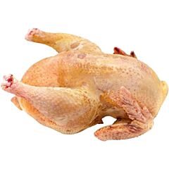  Poussin Ca 475 Gram Diepvries