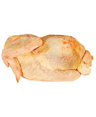 Soepkip Halal Diepvries Ca 1.2 Kg