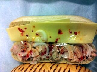 Houtop Panini Hete Kip Psv 210 Gr