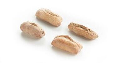 Panesco Mini Assortiment Rustiek 40Gr