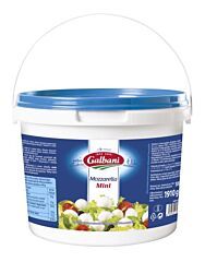 Galbani Mozzarella Mini