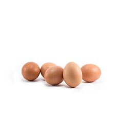 Chef's Egg Eieren Nr M Scharrel