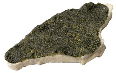 Vegan Visboer Visfilet Op Zeewierhuid