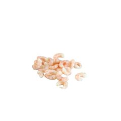 Ocean Spray Garnalen Harina Gepeld 200-300