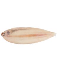  Sliptong Panklaar Iqf 20%
