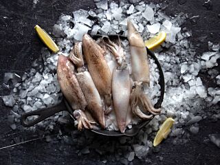 Inktvis Flessen 500-1000