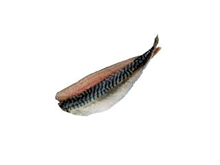 Makreelfilet 2 Met Vel Ca 1 Kg