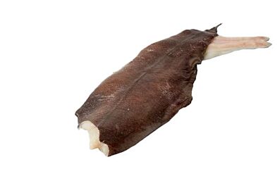 Heilbot Wild 7-10 Kg Zonder Kop