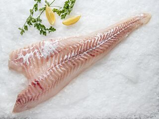Kabeljauw Filet Mv Refreshed