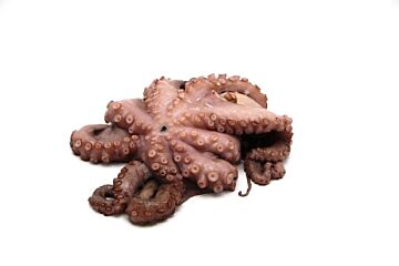 Pulpo Heel 3-4