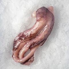 Pulpo Tentakels Rauw
