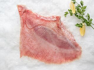 Rogvleugel Filet Zonder Vel Gl