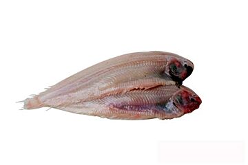 Tong 120-200 Gr Zonder Vel