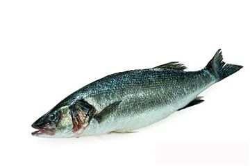 Zeebaars 2-3 Wild Gestript Geschubd