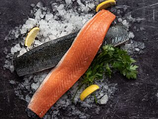 Zalm Haas 4-5 Met Vel Geschubd