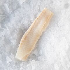 Zeewolf Filet Znd Vel Znd Buikflap