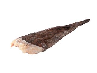 Zeeduivelfilet Met Vel Uit 1-2 Kg