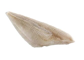 Schol 2 Filet Zonder Vel