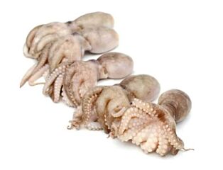 Moscardini 1 Kg Diepvries