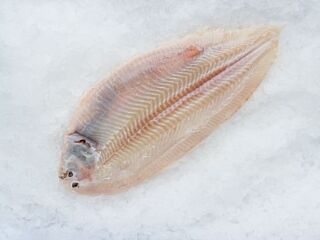 Tong Zonder Vel 330-380 Per Doos 5Kgdiepvries