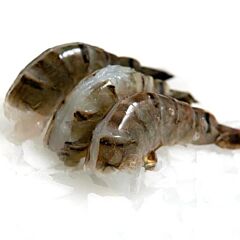 Gamba Bt 16/20 Easy Pealed 1 Kg Diepvries