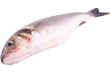 Zeebaars 800-1000 Geschubd En Gestript Vers Ca 680 Gram