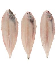 Sliptong Schoon Zonder Vel 80-120 Gram Ca 130 Gr