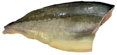  Kingfish Filet Dv