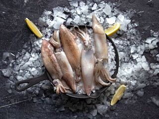 Inktvis Flessen 300-500 Illex Rf