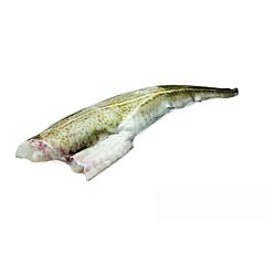  Kabeljauw Filet 5 Mv Ga
