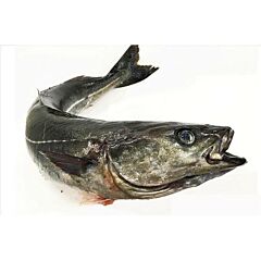  Koolvis Heel 2-4 Kg