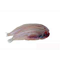  Tong 200-300 Zonder Vel