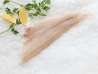  Schelvis Filet Ga Zonder Vel