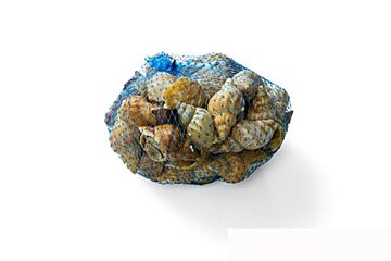  Wulken 1 Kg