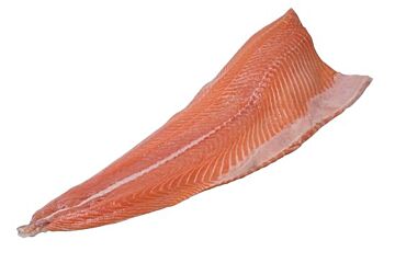  Zalmfilet 4-5 Schots Zonder Vel