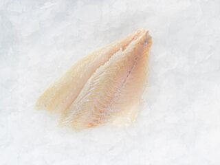 Dorade Filet 300-400 Zonder Vel Gl
