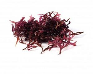  Roodhoorntjeswier 1 Kg