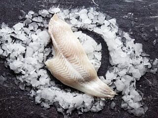  Schol 1 Filet Zonder Vel